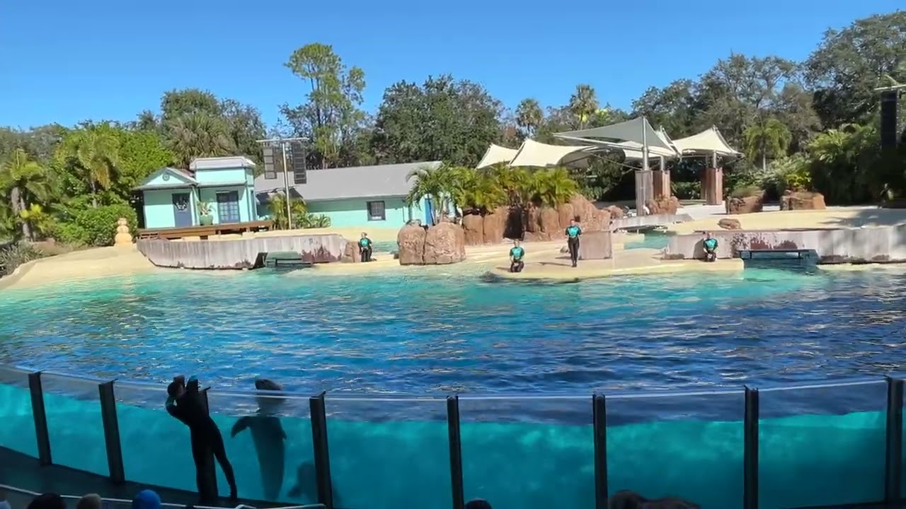 Dolphin Encounter @SeaWorld