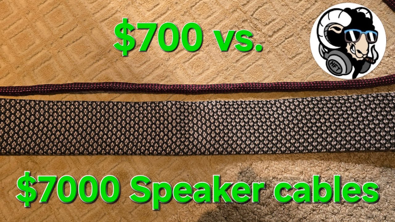 $700 vs. $7000 speaker cables.