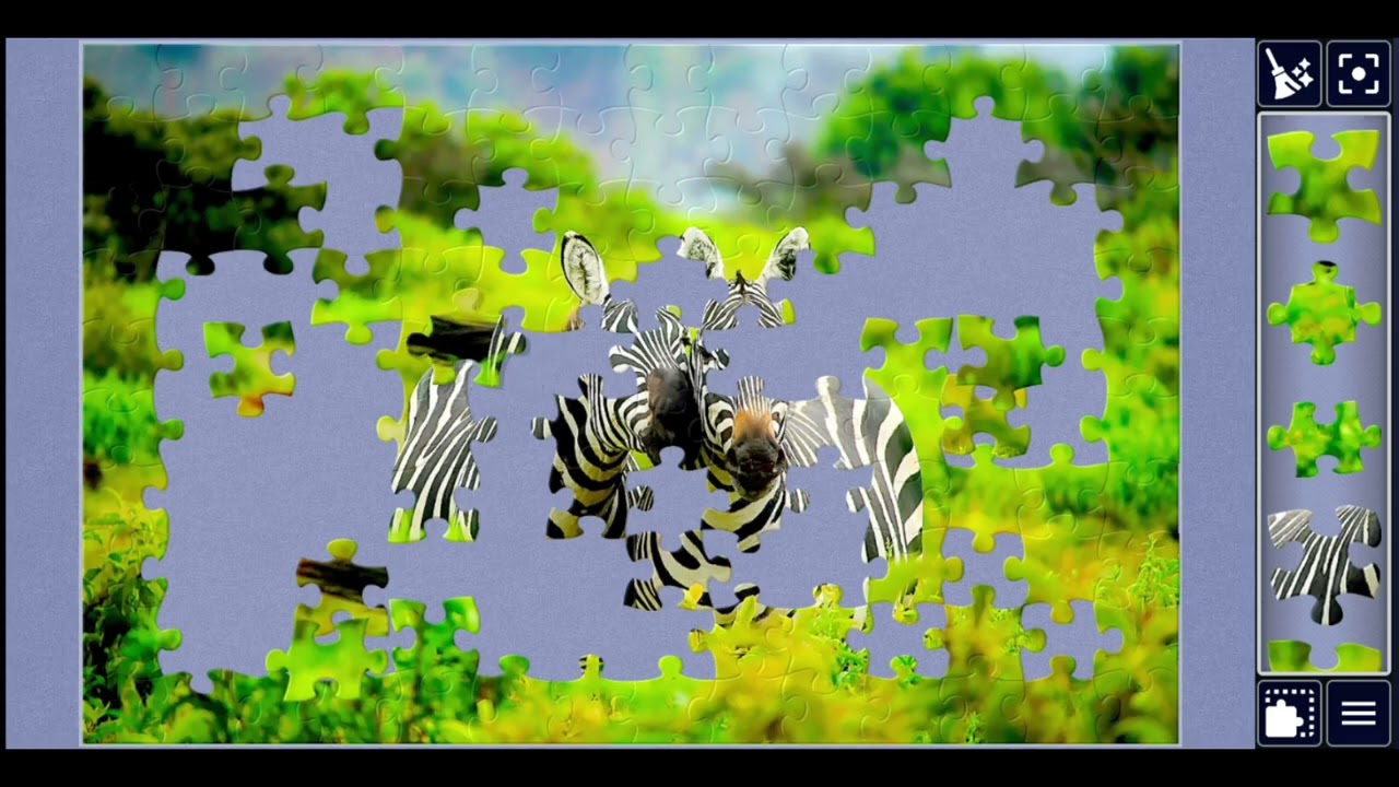 Two Zebras Standing in Yellow Grass💞🥰🎉🦓jigsawpuzzle🧩🧩//#viralvideo #videos @jigsawpuzzle667 