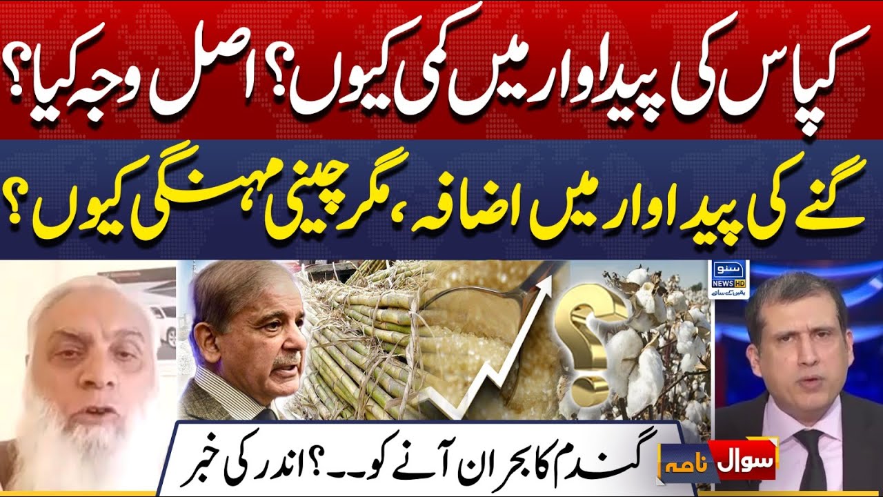 Cotton production And Govt Role, Relief for farmers? | Sawal Nama With Ather Kazmi | EP 238