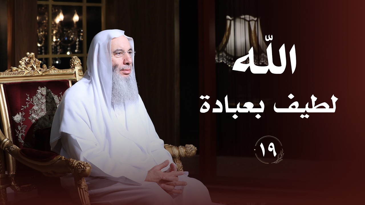 الله لطيف بعباده ❤️ حلقة 19 من برنامج لطائف I فضيلة الشيخ د. محمد حسان