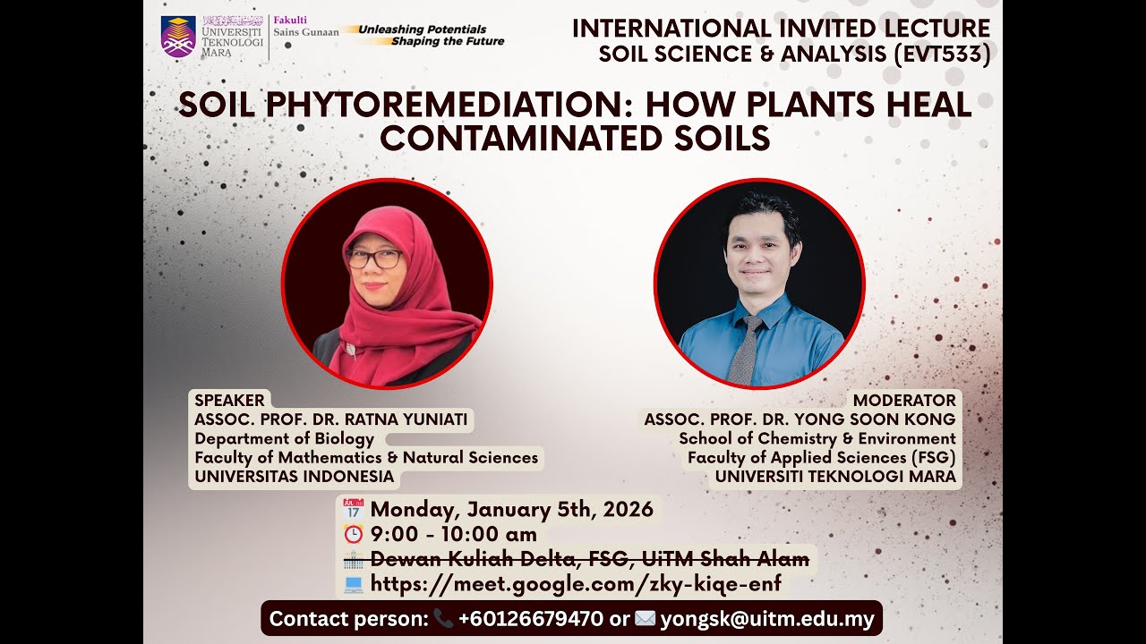 Soil Phytoremediation: How Plants Heal Contaminated Soils