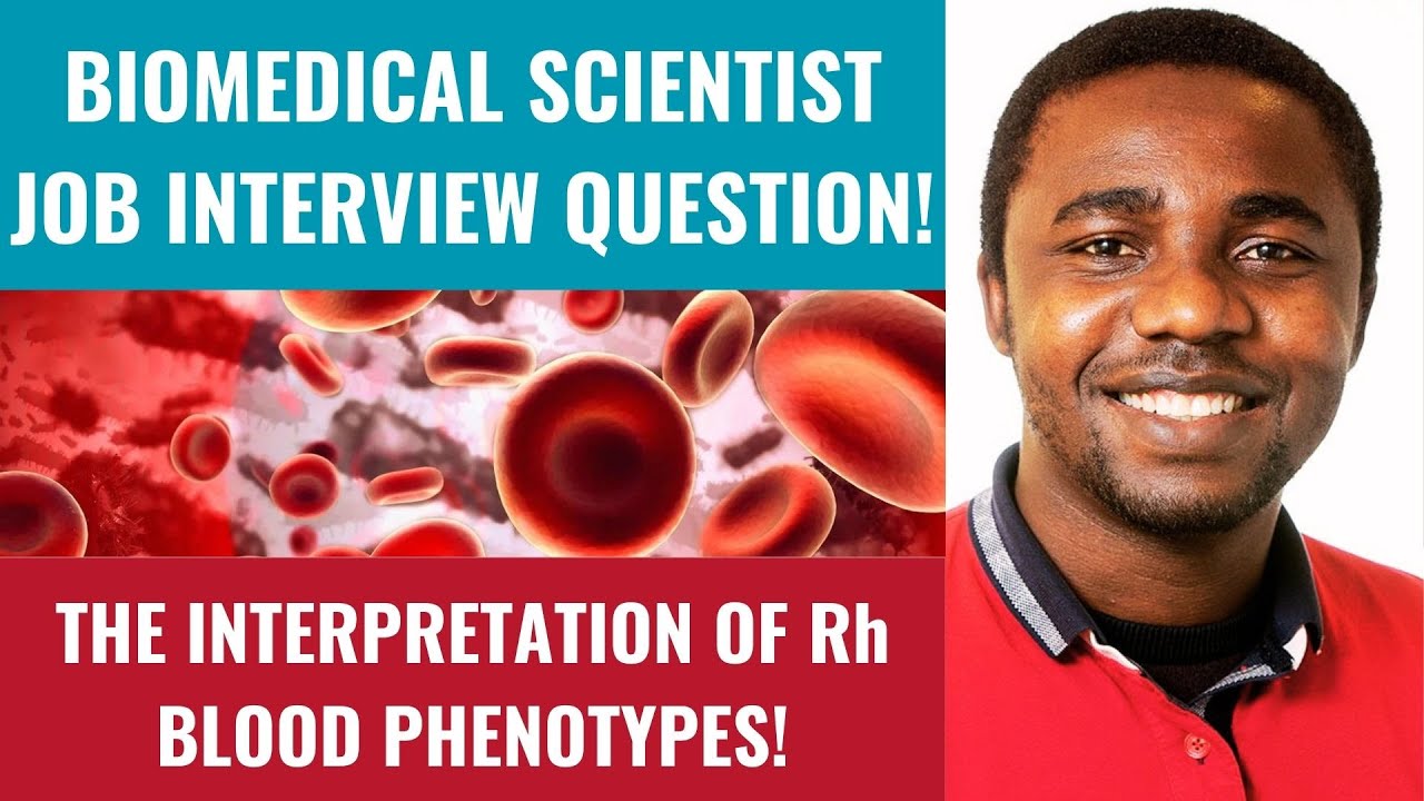 Biomedical Scientist Interview Question - The Interpretation of Rh Blood Phenotypes!