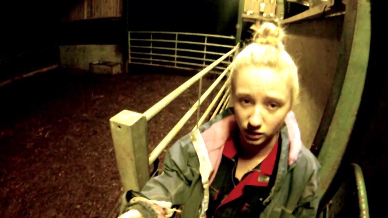 Farmer and his daughter help a Dexter heifer calving