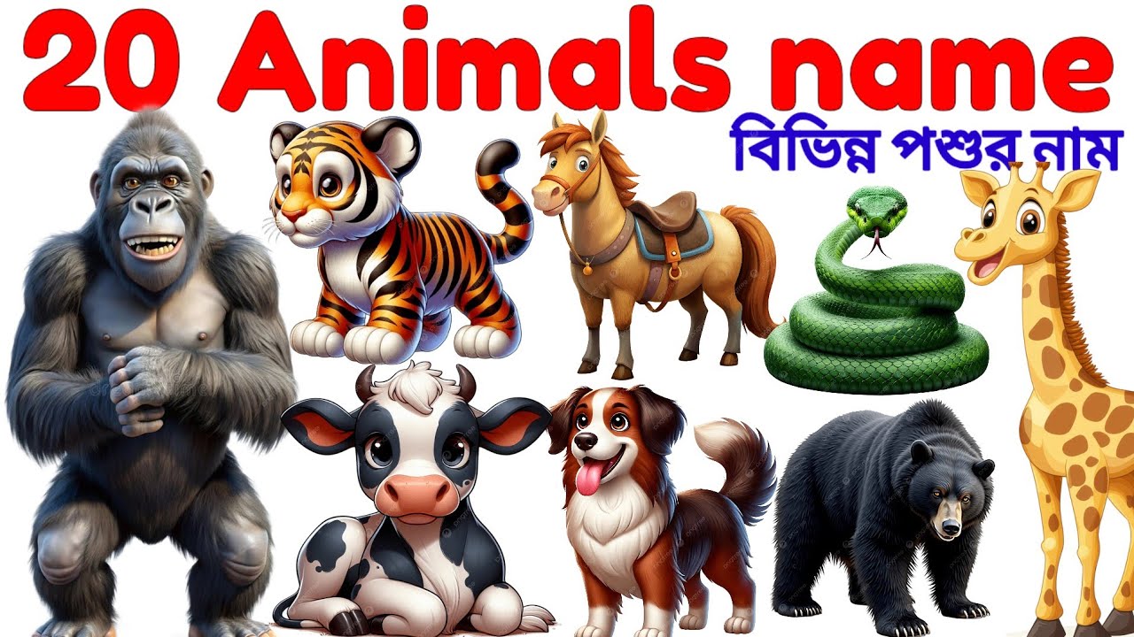 Animals Name 🐯🐕| Animals Name in Bengali to English With Pictures | Animals Name for Kids | Animals