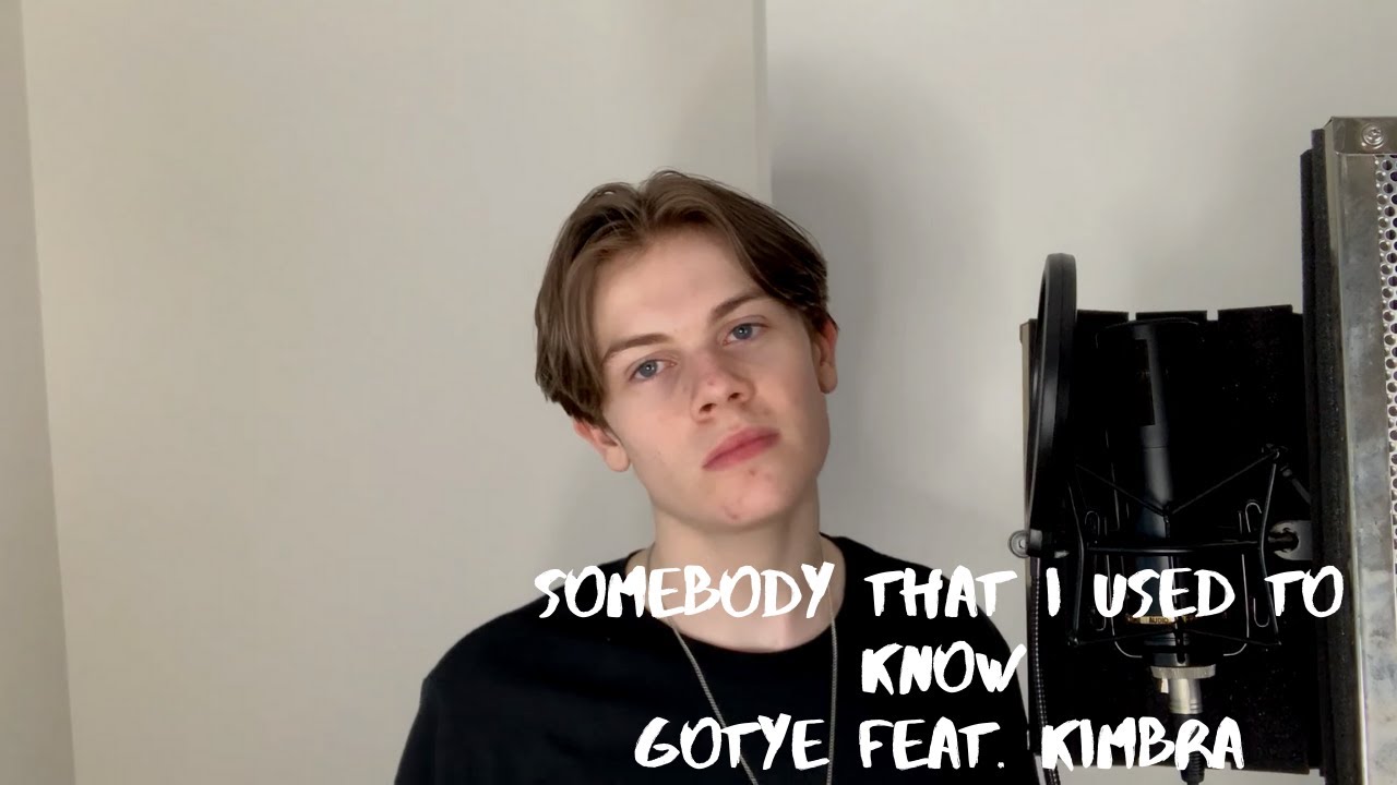 The Wonderland | Somebody That I Used To Know (Cover)