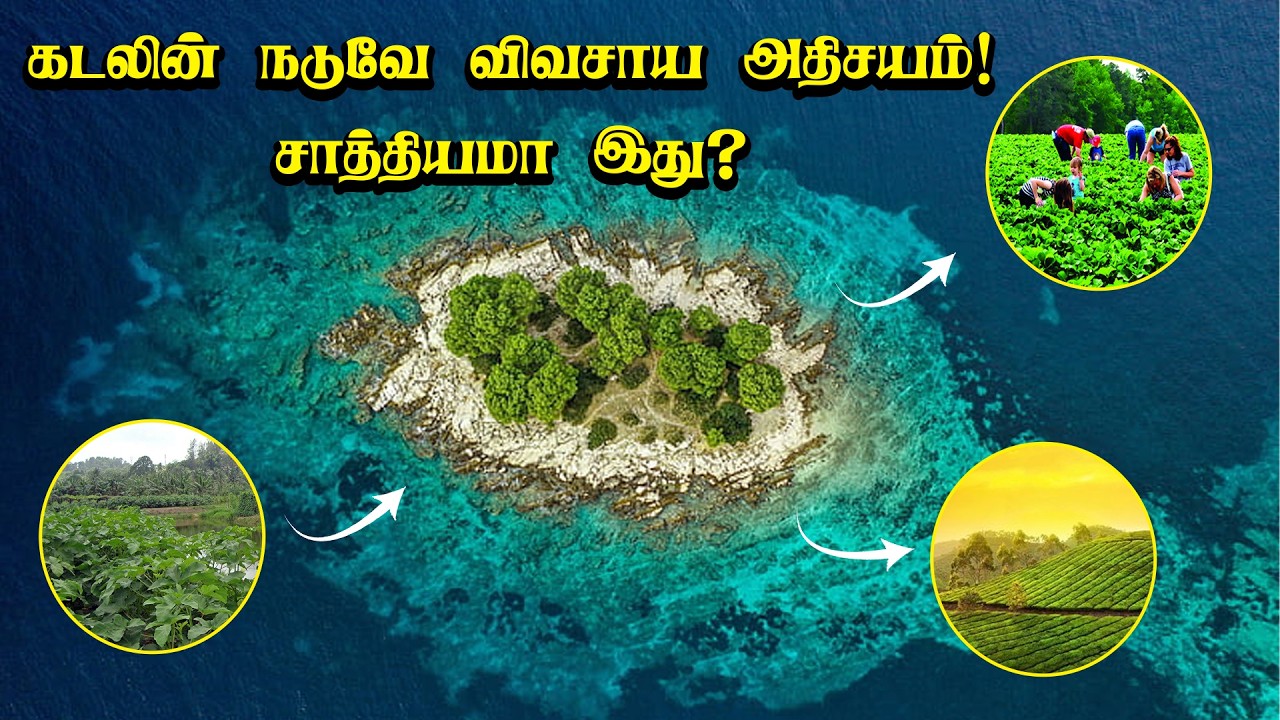 கடலின் நடுவே விவசாய அதிசயம்! - சாத்தியமா இது? - NEWS7 TAMIL