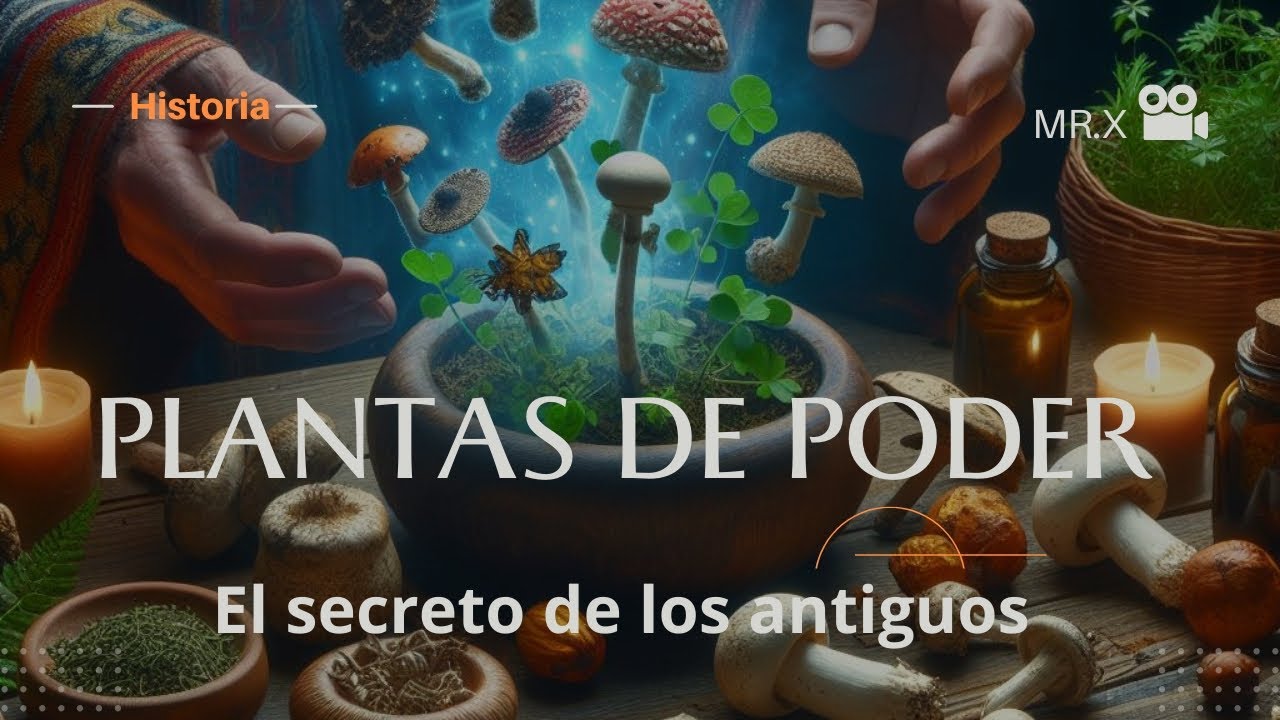 Plantas de poder. El secreto de los antiguos(10 plantas m&aacute;gicas en 6 minutos)