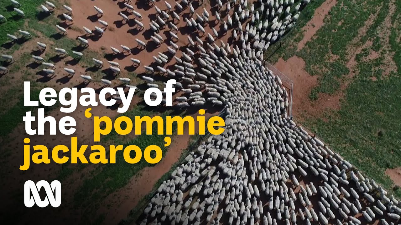 London to Australia: Living the legacy of a 'pommie jackaroo' 🤠🇬🇧 | Landlife | ABC Australia