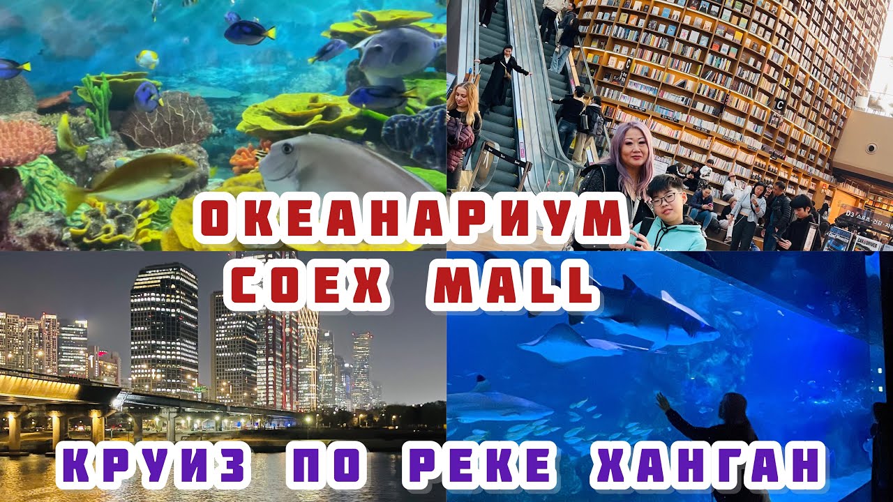 COEX MALL/ ЗНАМЕНИТАЯ БИБЛИОТЕКА STARFIELD / ОКЕАНАРИУМ / КРУИЗ ПО РЕКЕ ХАНГАН / ОБЗОР МАГАЗИНА GS25