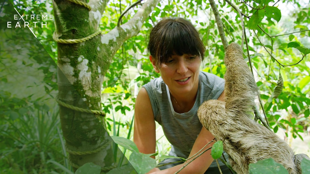 Exploring Earth’s Most Extreme Rainforest with Davina McCall (4K Documentary)