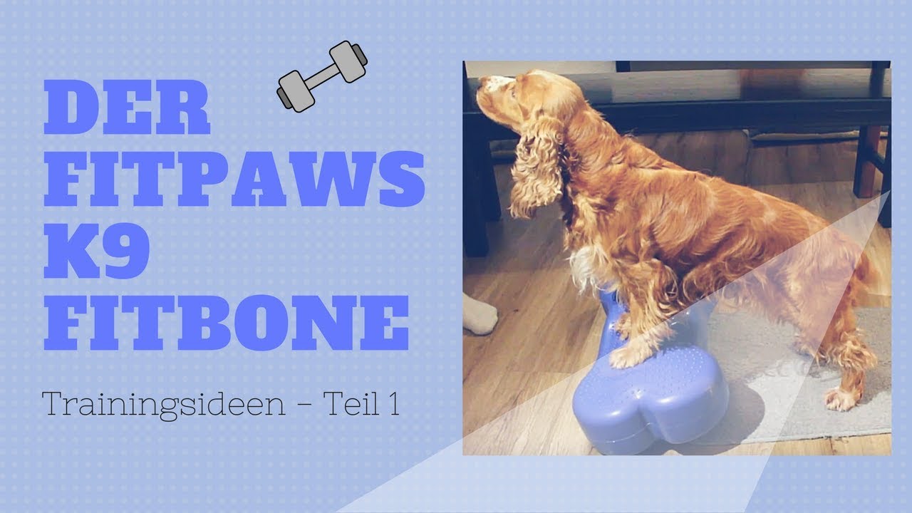 Doggy Gymnastik - Arbeiten mit dem FitPAWS K9 FITbone