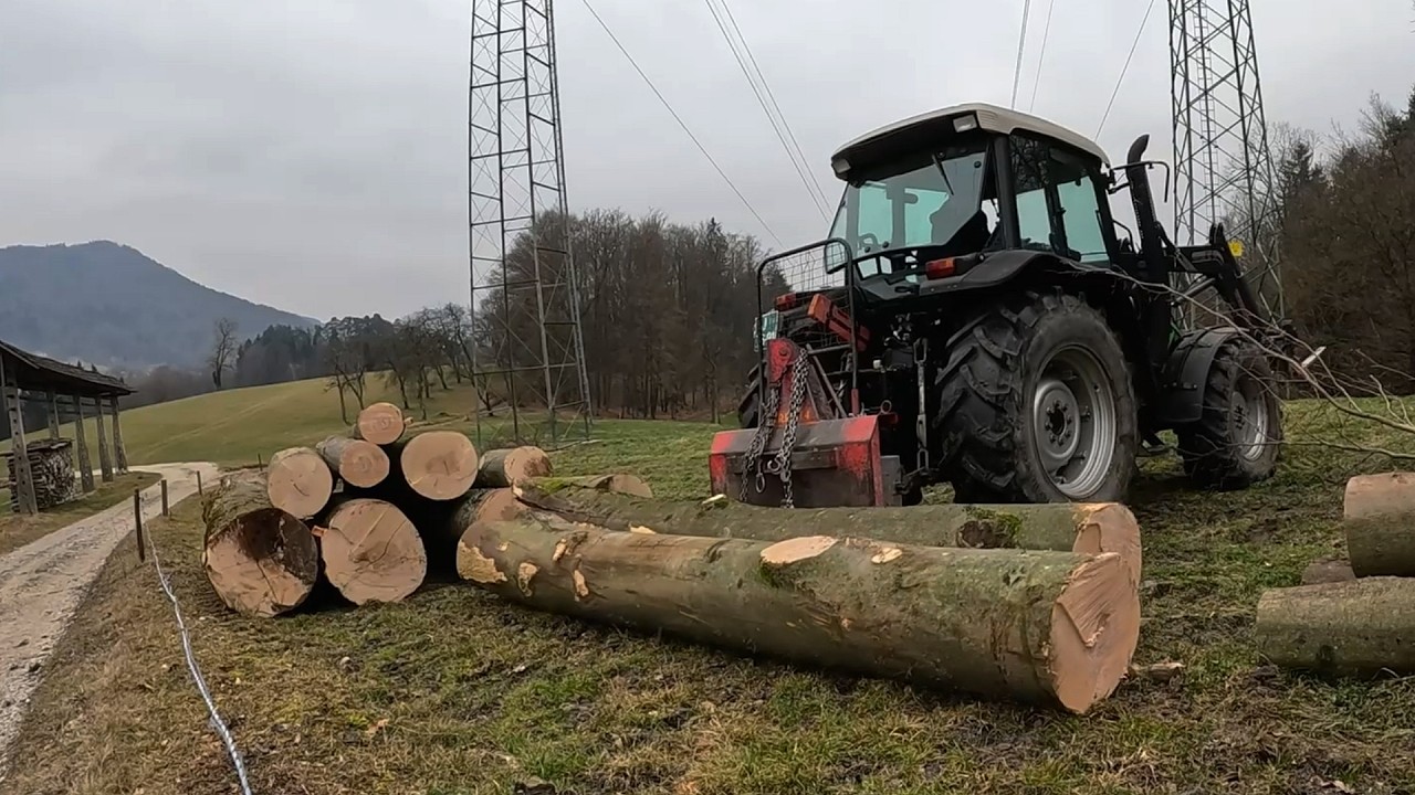 Forestry Work on the Farm