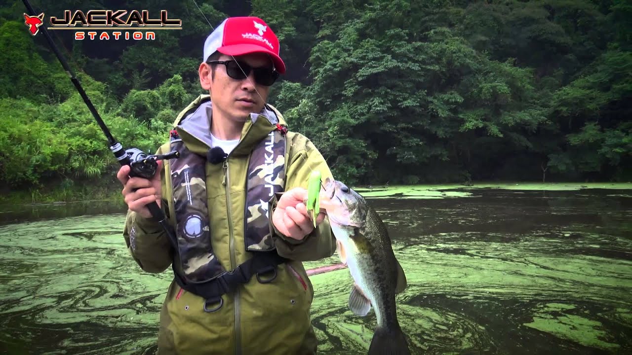 2015 NEW 