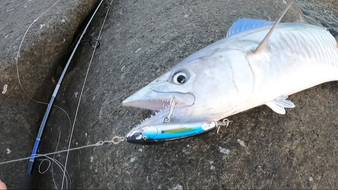 Land Based Fishing for Pelagics