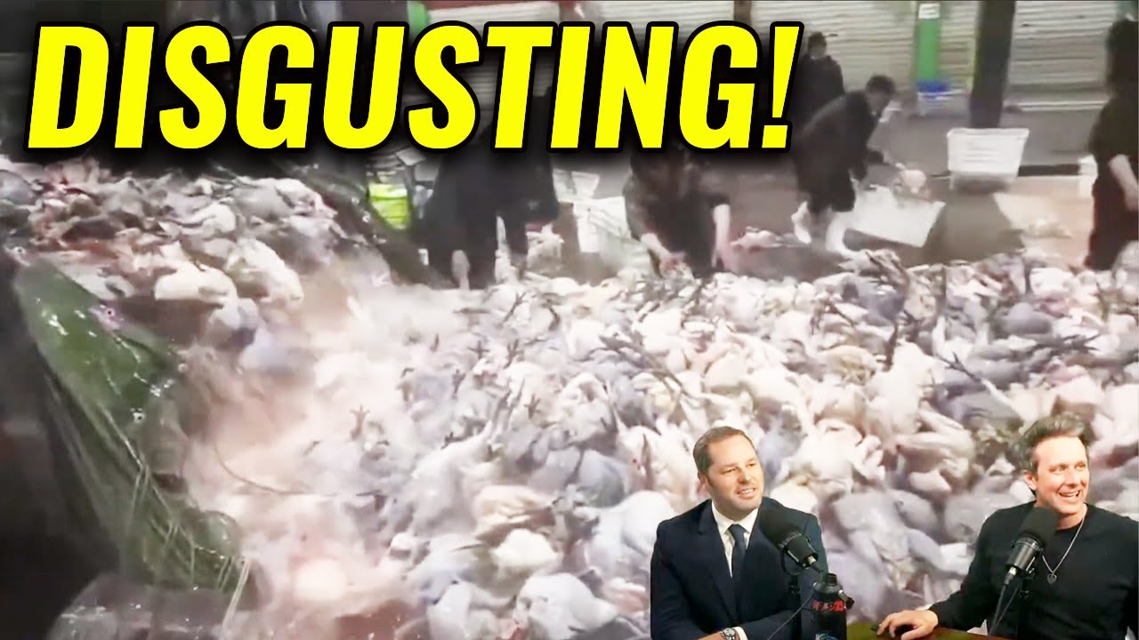 China's Food Safety Nightmare -This is GROSS!
