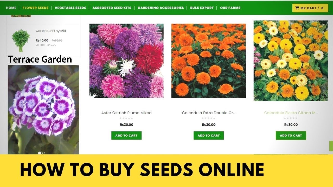 How to buy seeds online in india ll Plantsmans Seeds.[TERRACE GARDEN]