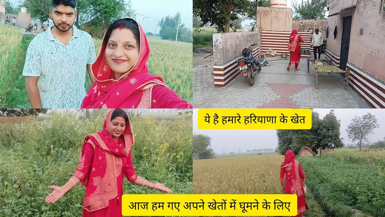 हमारे हरियाणा के खेत #Army wife vlog #Army lifestyle #daily routine vlog @Armywifevlog1148 