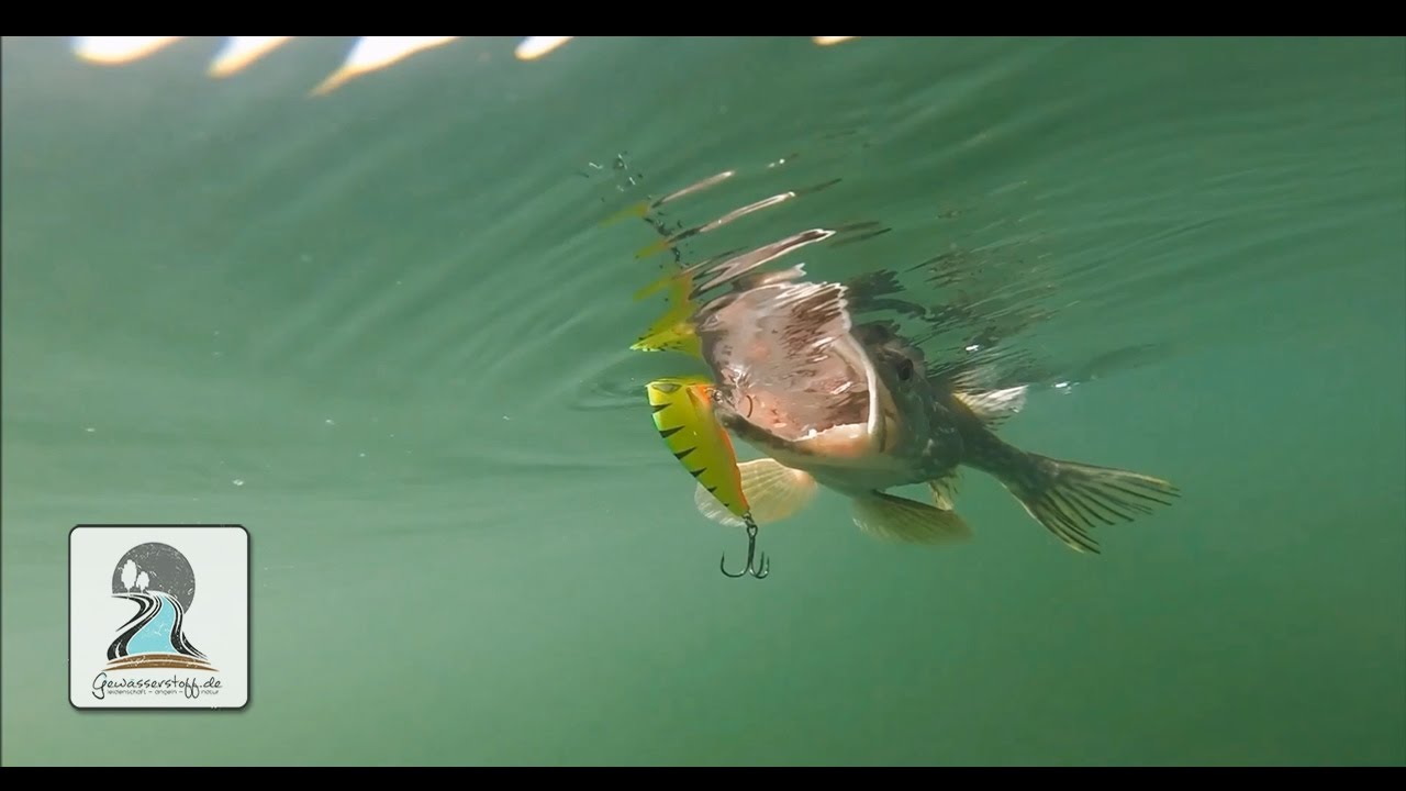 Wie f&auml;ngt man Hecht und Zander im fr&auml;nkischen Seenland l Autorentagebuch l 09/2014