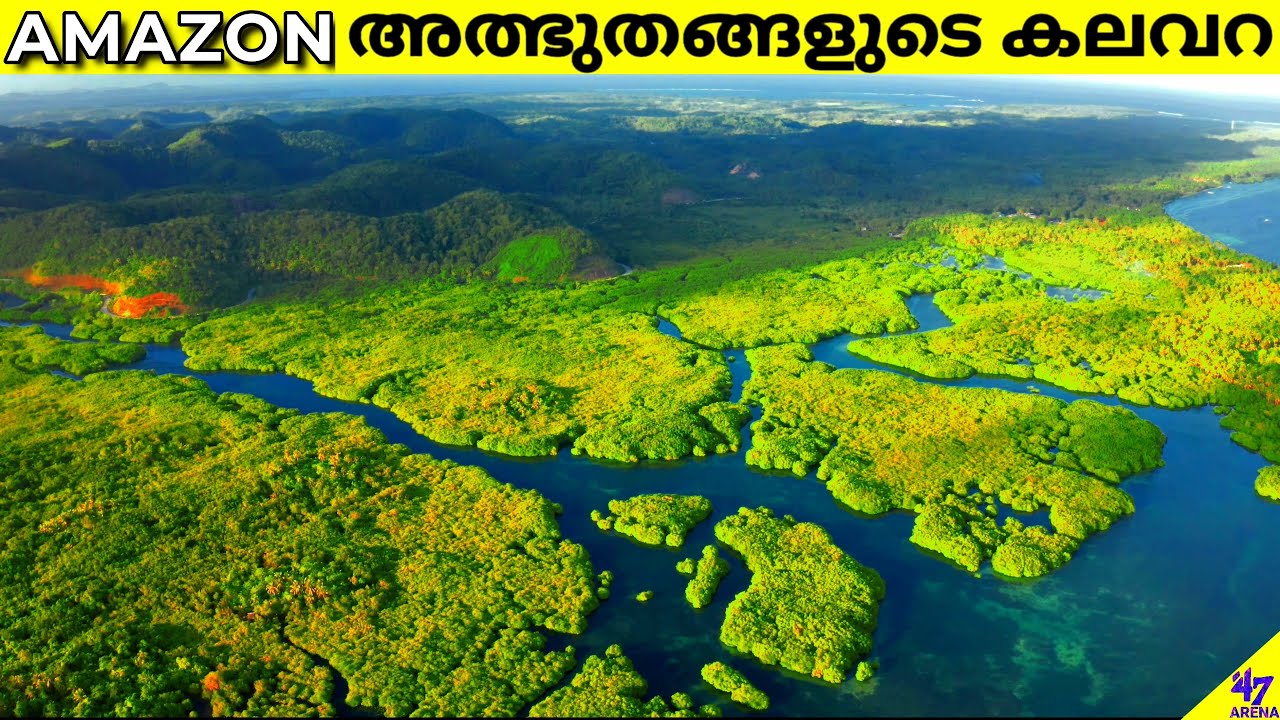 Amazon-The Biggest Rainforest in the World | Amazon Forest | Facts Malayalam | 47 ARENA
