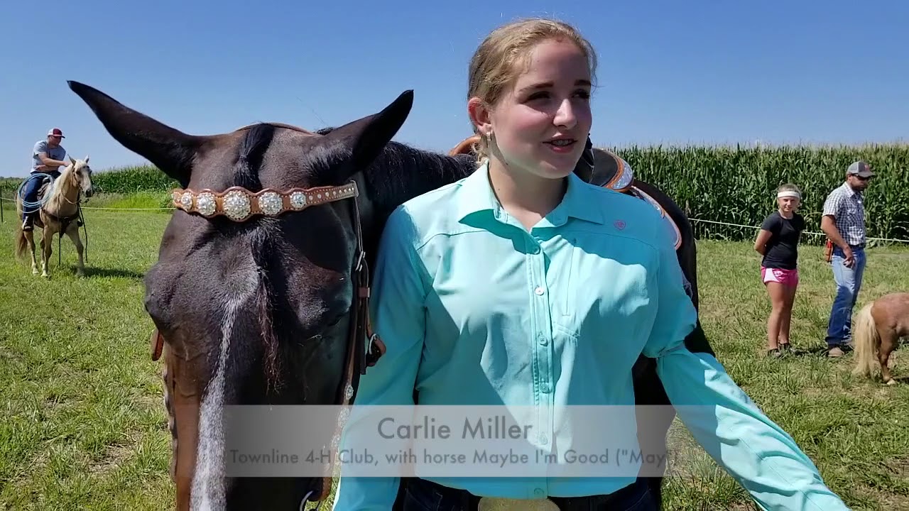 Bremer County Fair 4-H & FFA Horse Show