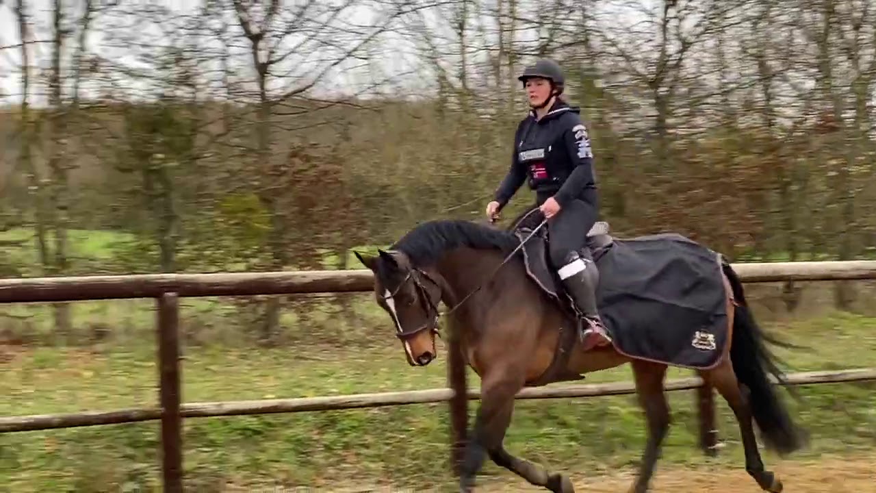 LIGNE DE GYMNASTIQUE AVEC DULCIANE