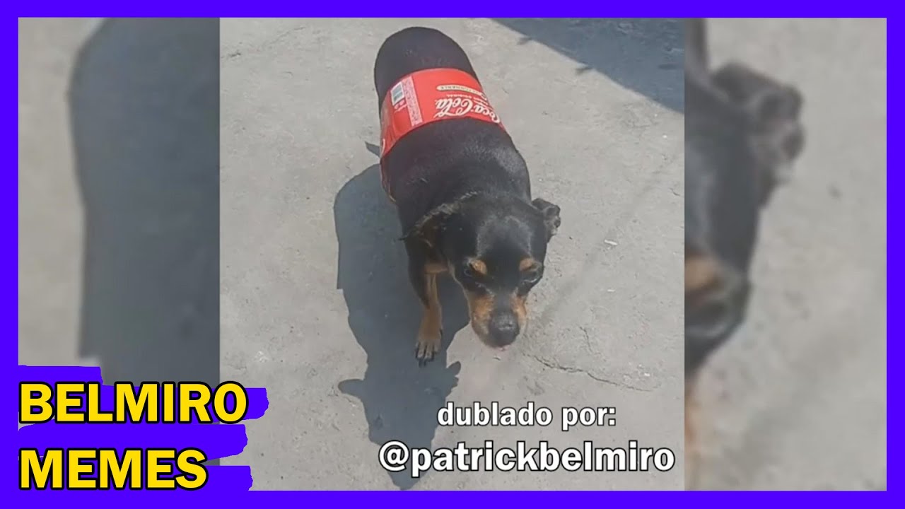Belmiro Memes: Melhores dublagens engraçadas da semana 35