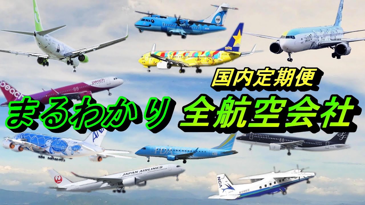 国内線定期便を運行する全航空会社をご紹介【 エアライン 飛行機 】