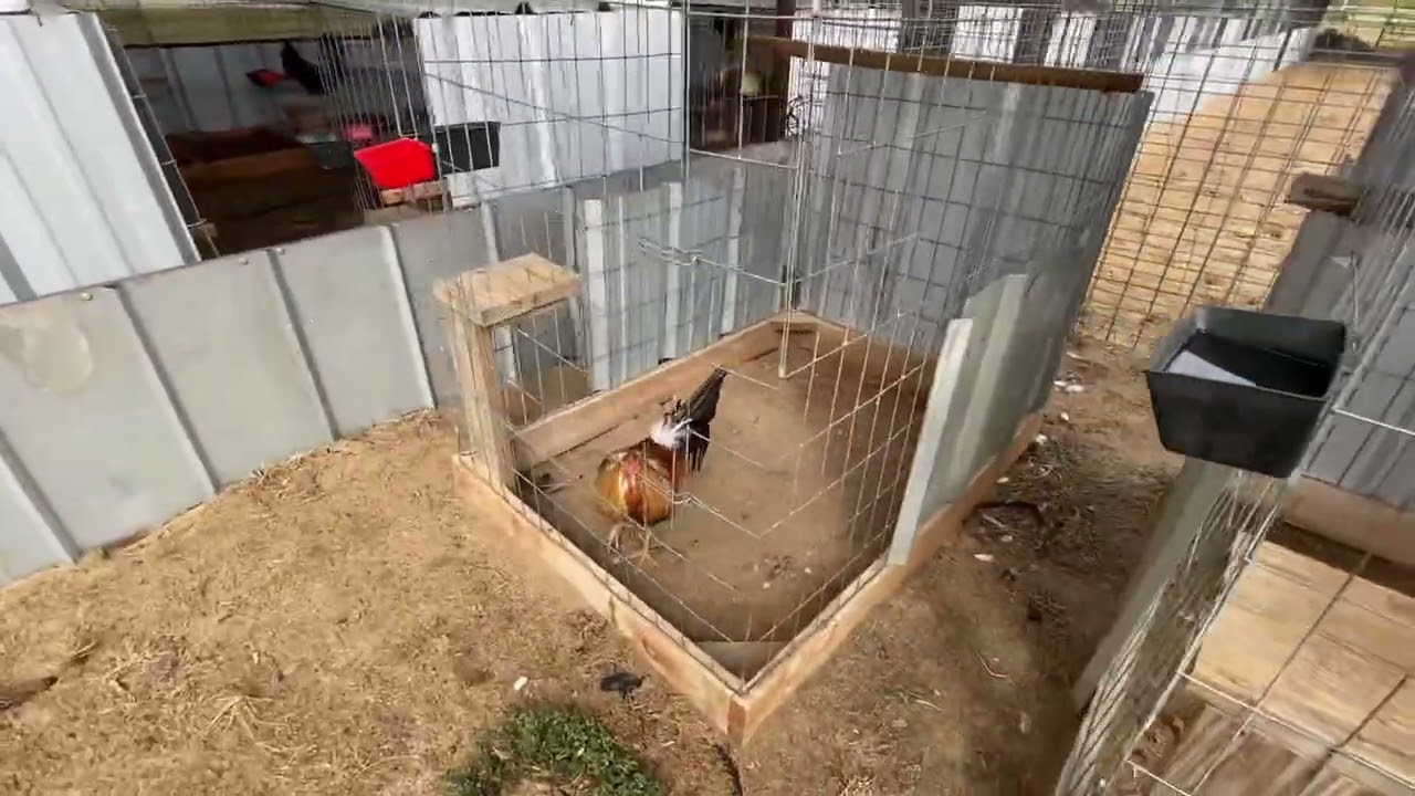 RED OAK GAME FARM