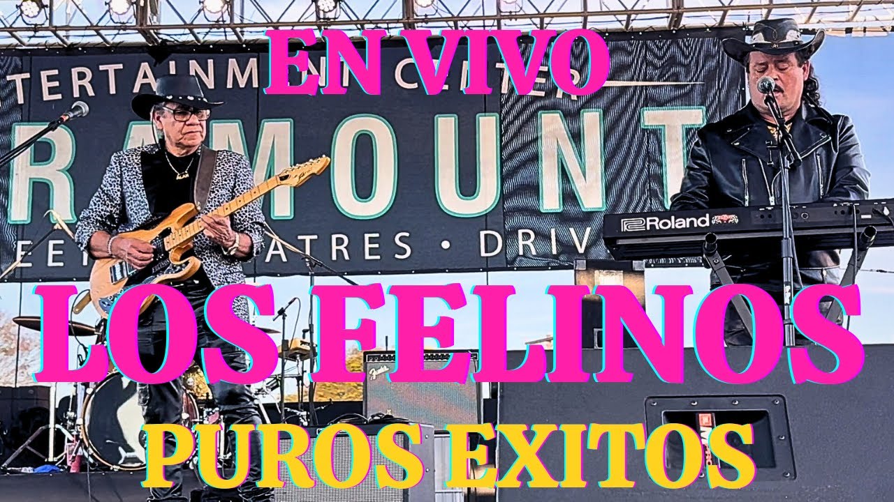 EN VIVO CON LOS FELINOS PARAMOUNT CALIFORNIA, SWAP MEET