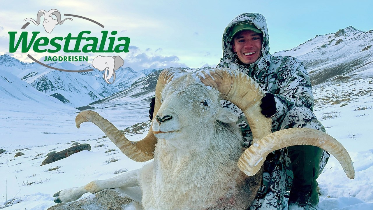 Marco Polo Jagd in Tadschikistan