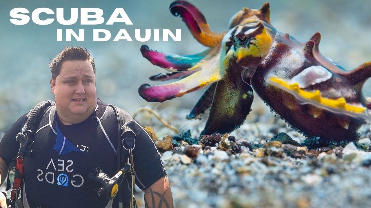 SCUBA DIVING in Dauin, Philippines | My First for 2022