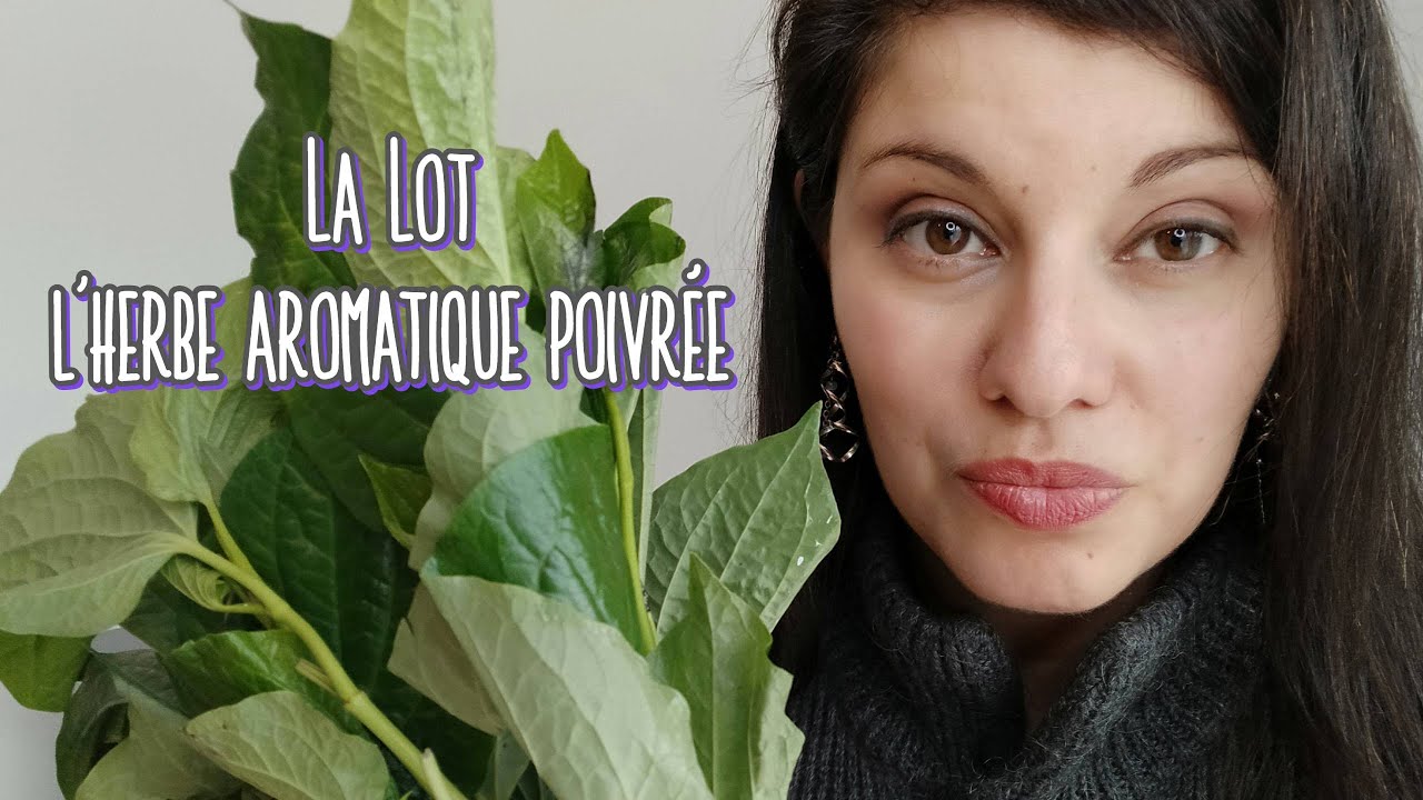 La Feuille La Lot: utilisation en cuisine asiatique