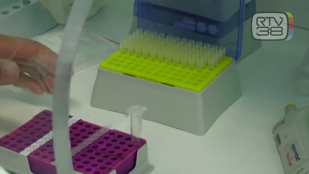 VIRUS USUTU, PRIME POSITIVITA' IN TOSCANA