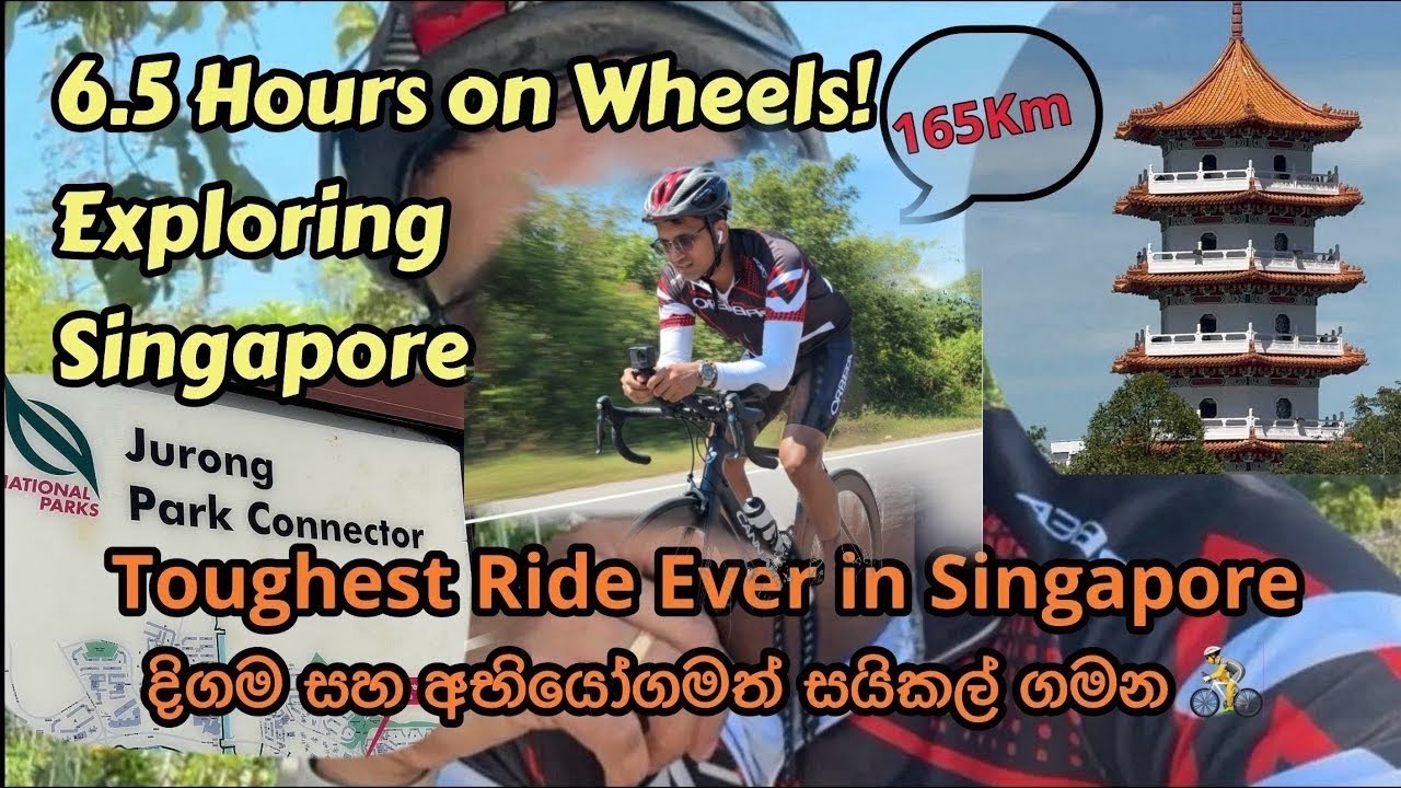 6.5 Hours on Wheels! Exploring Singapore’s Green Corridor & Beautiful Park Connectors#travel 