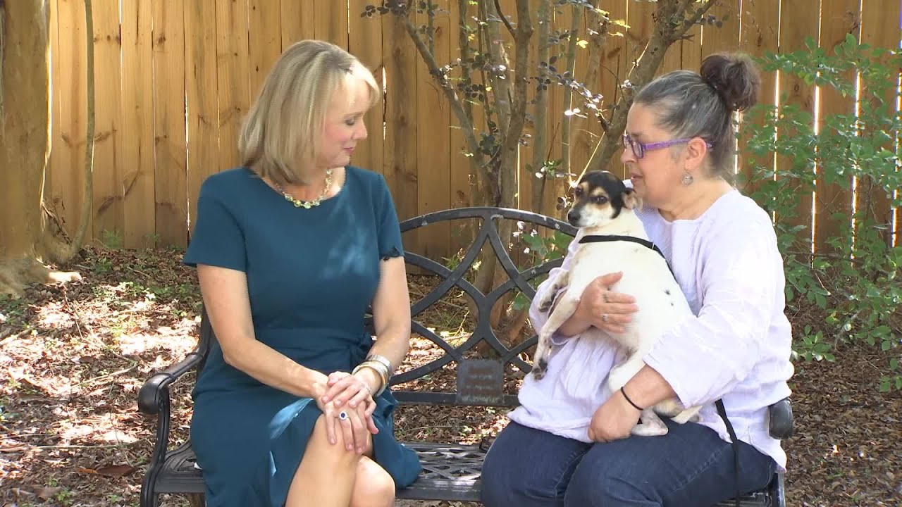 Pet of the Week: Echo, the Rat Terrier-Mix