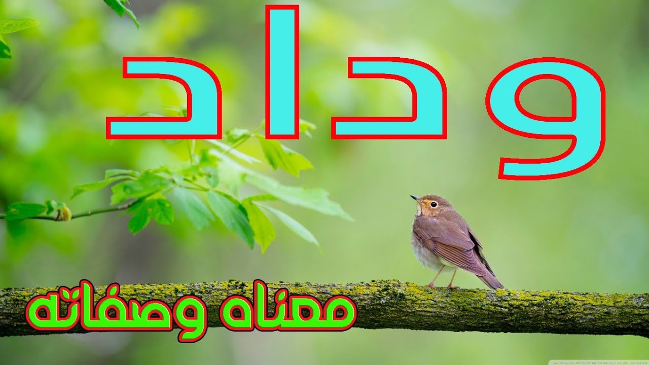 معنى اسم وداد و صفات حاملة هذا الإسم / wedad !!