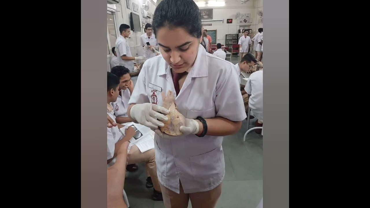 AFMC❤❤ | Future Doctor👩&zwj;⚕👨&zwj;⚕| Army Doctor #afmc #armydoctor #army #motivation #doctor #mbbs #shorts