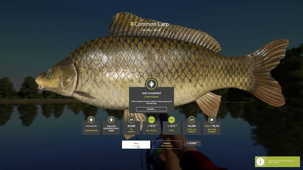 RF4 Fresh Spot / Trophy Common Carp / Carp Farm , Karp / Amber Lake 07.07.2025