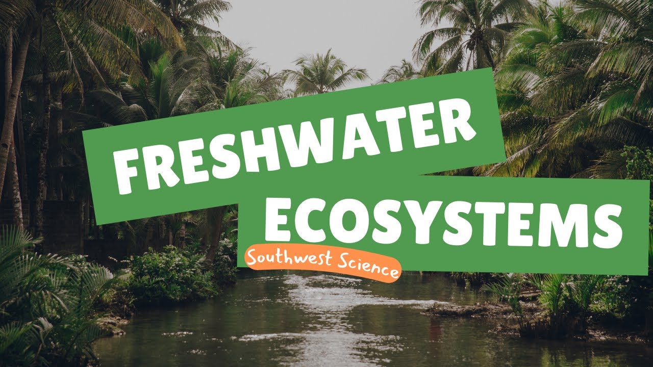 Freshwater Ecosystems