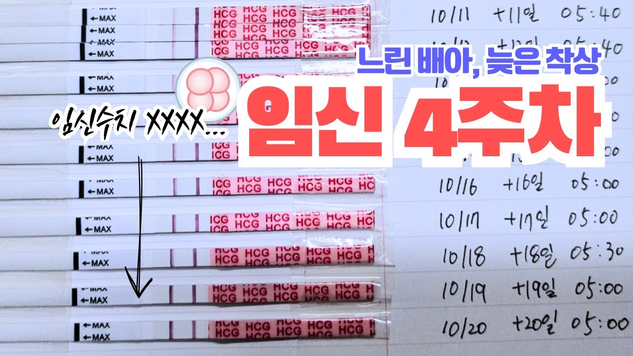 시험관 임신 4주차 꼭 확인해야 할 것...그리고 증상🤕