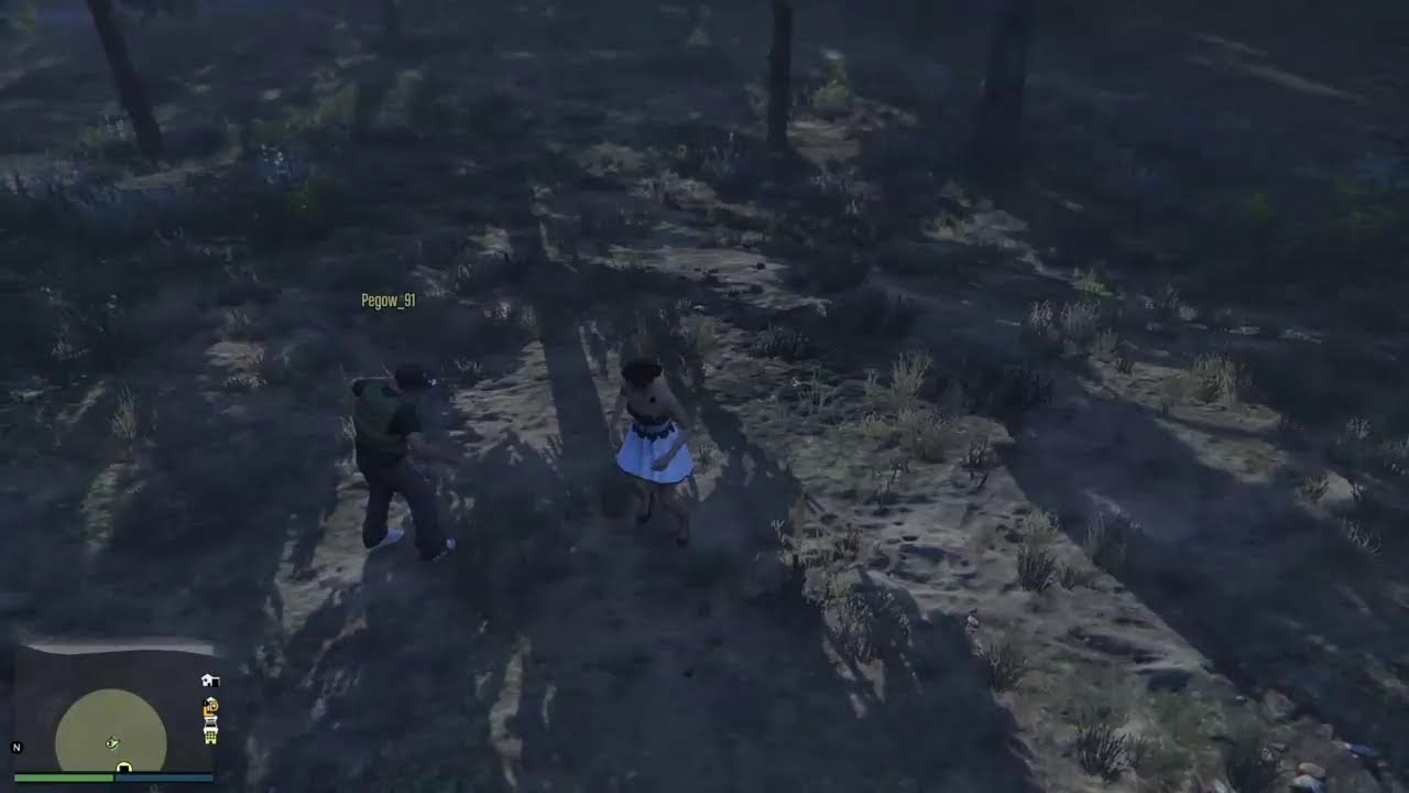 LIIIIVE xD !!! (#GTAV)