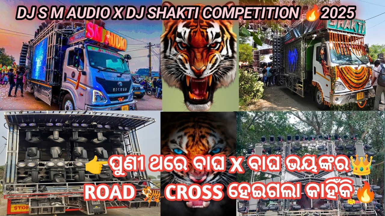 👉ପୁଣୀ ଥରେ ବାଘ X ବାଘ ଭୟଙ୍କର👑 ROAD🐅CROSS ହେଇଗଲା କାହିଁକି 🔥 DJ S M AUDIO X DJ SHAKTI COMPETITION 🔥 2025