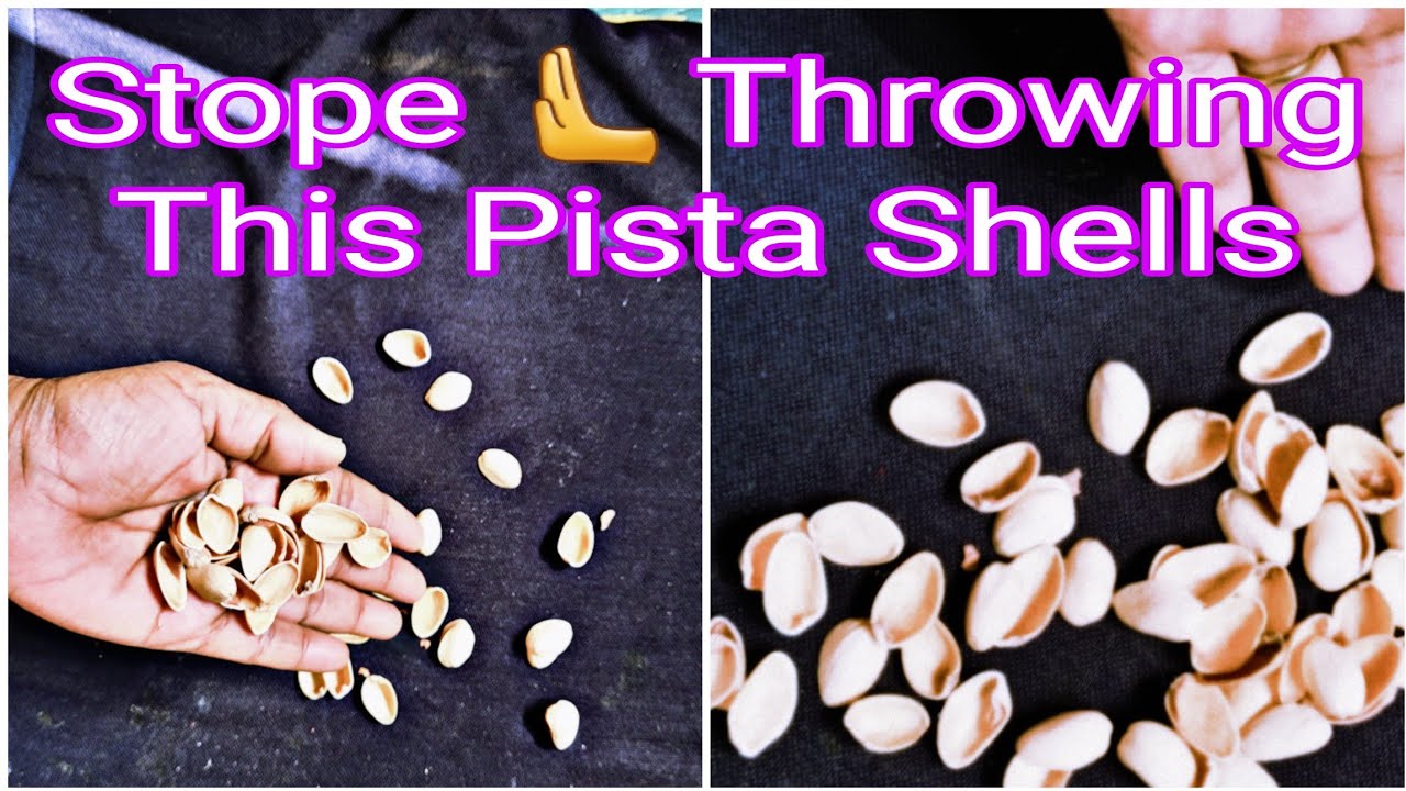 बेकार समझकर भूलकर भी मत फैंकना इन्हें /🫰Quick & Amazing Ideas To Reuse Pista Shell @Pistachioreu