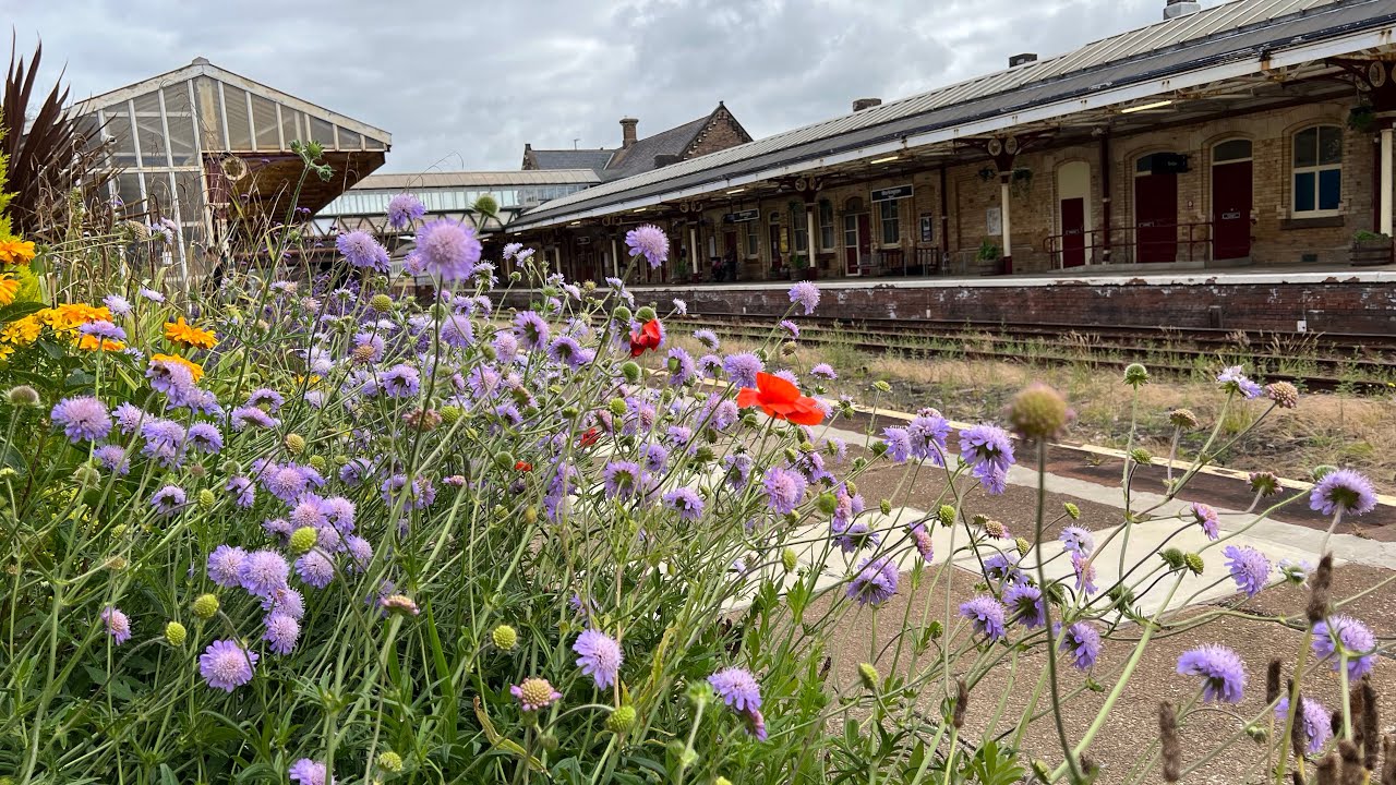 Workington Station (The Rails which circled the World) - Cumbrian Coast Line (13th July 2022)