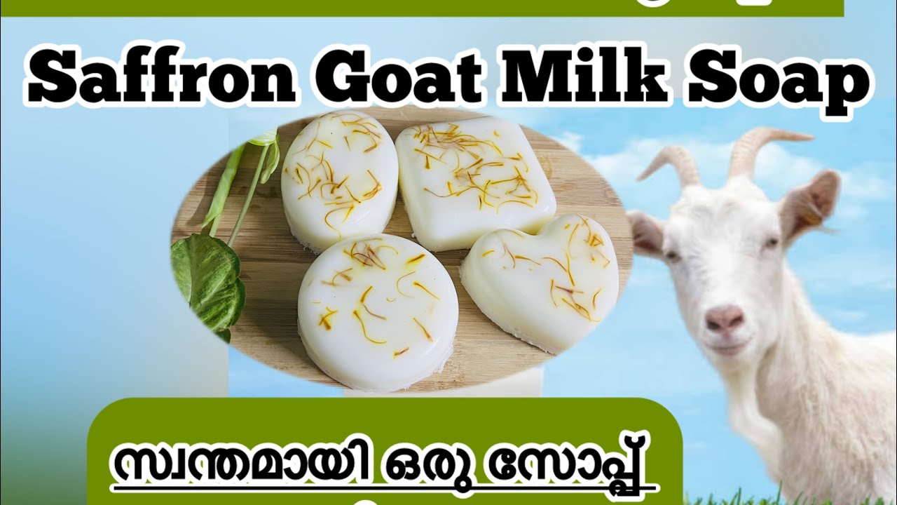 Goat milk സോപ്പ് വീട്ടിൽ തന്നെ ഉണ്ടാക്കാം |Home made Skin brightening Goat milk soap