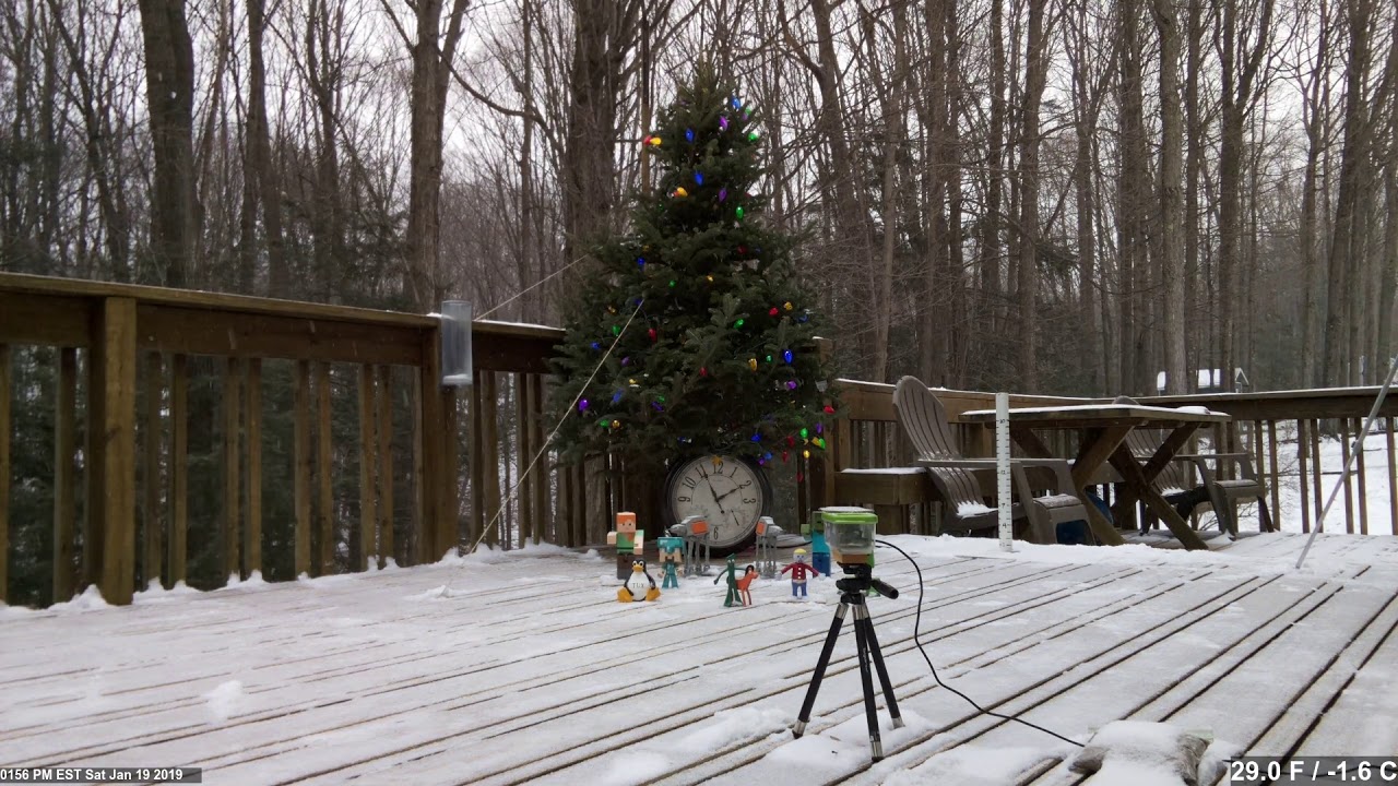 Time Lapse January 19 to 20, 2019