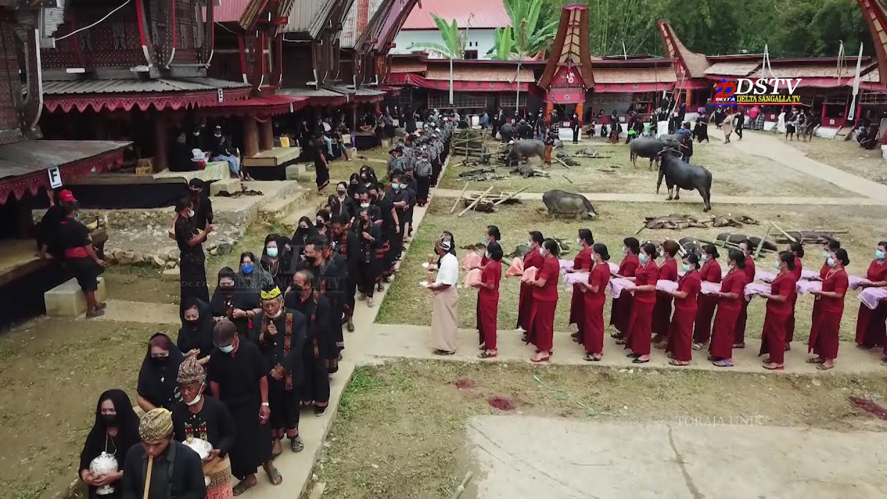 Upacara adat keren di Angin angin Toraja Utara