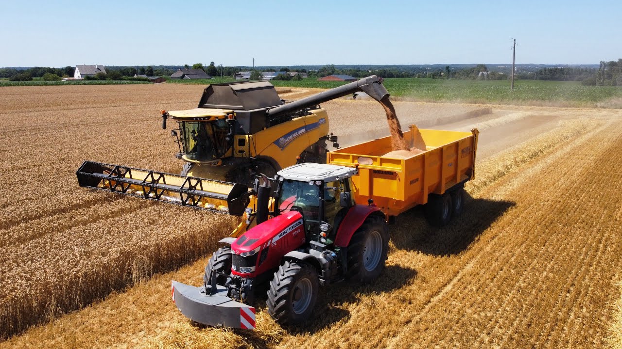 Moisson de blé 2025 !🌾😍
