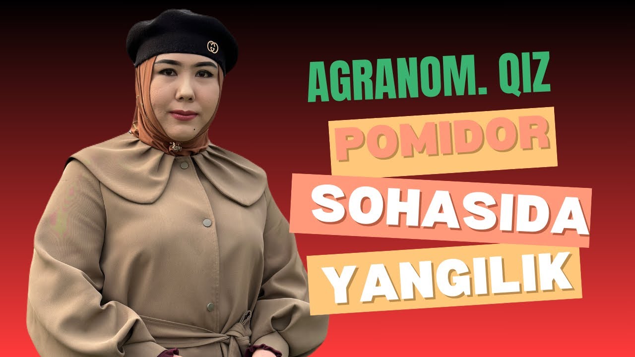 Siz buni bilarmidiz? POMIDOR SOHASIDA 4 ta OLTIN QOIDA. AGRANOM MASLAHATI.